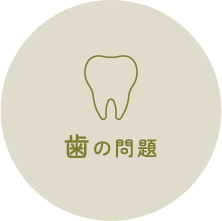 歯の問題