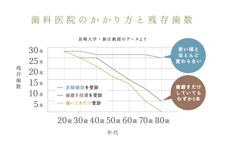 歯科医院のかかり方と残存歯数